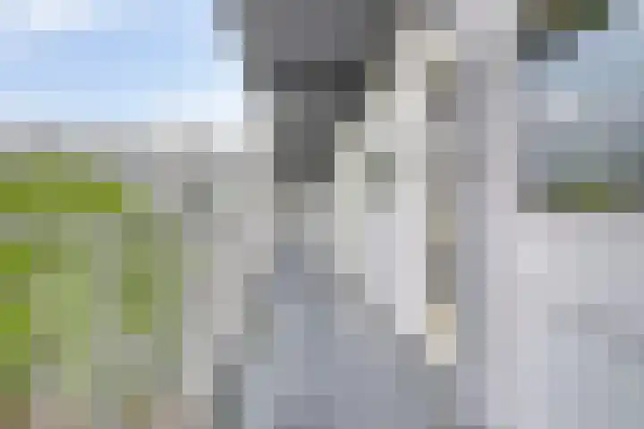 Sint Jansberg 282 Drachten thumbnail 10