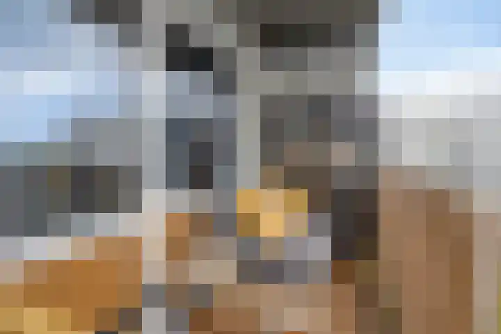 Sint Jansberg 282 Drachten thumbnail 35
