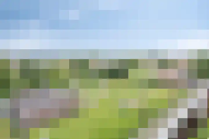 Sint Jansberg 282 Drachten thumbnail 36