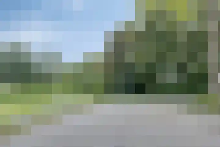 Sint Jansberg 282 Drachten thumbnail 44
