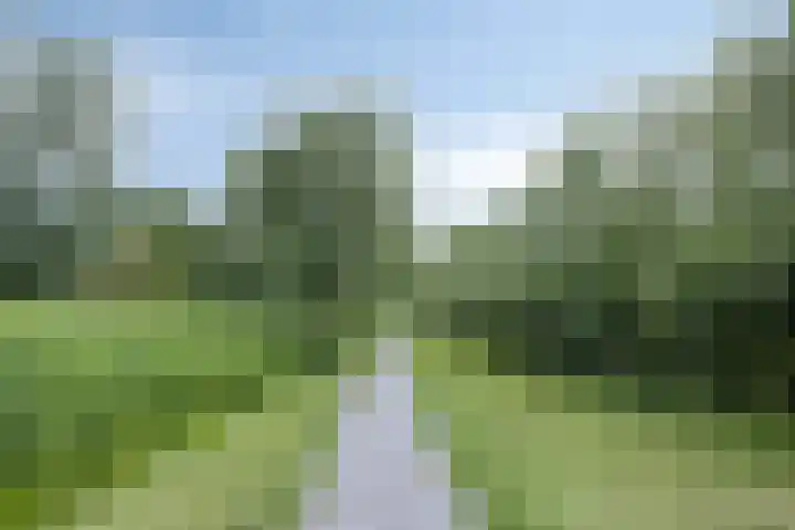 Sint Jansberg 282 Drachten thumbnail 45