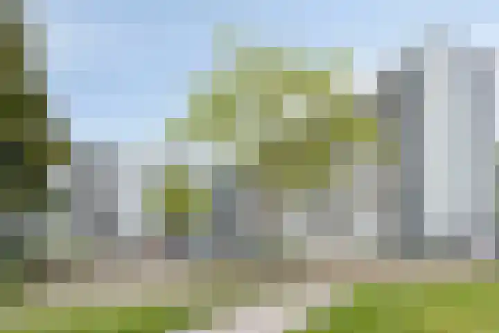 Sint Jansberg 282 Drachten thumbnail 46