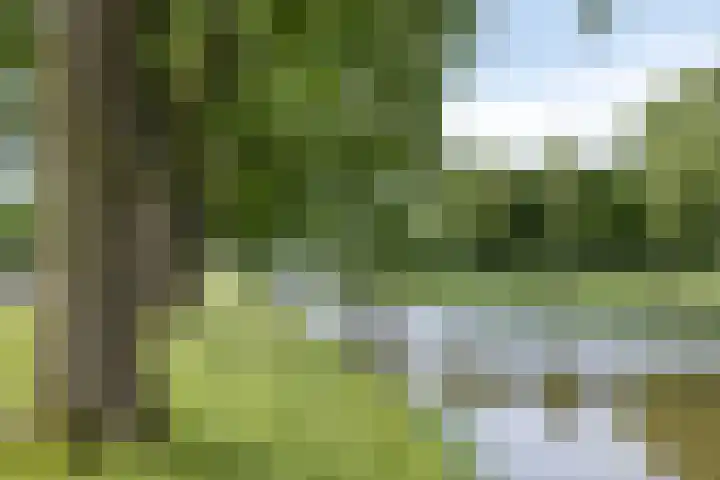 Sint Jansberg 282 Drachten thumbnail 47