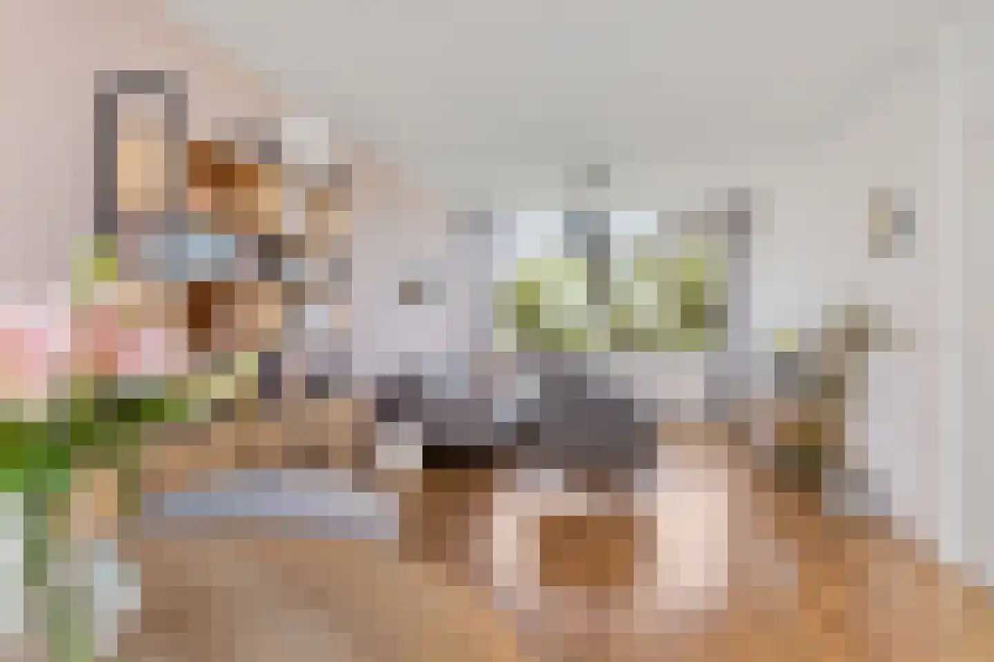 Sint Jansberg 364 Drachten thumbnail 13