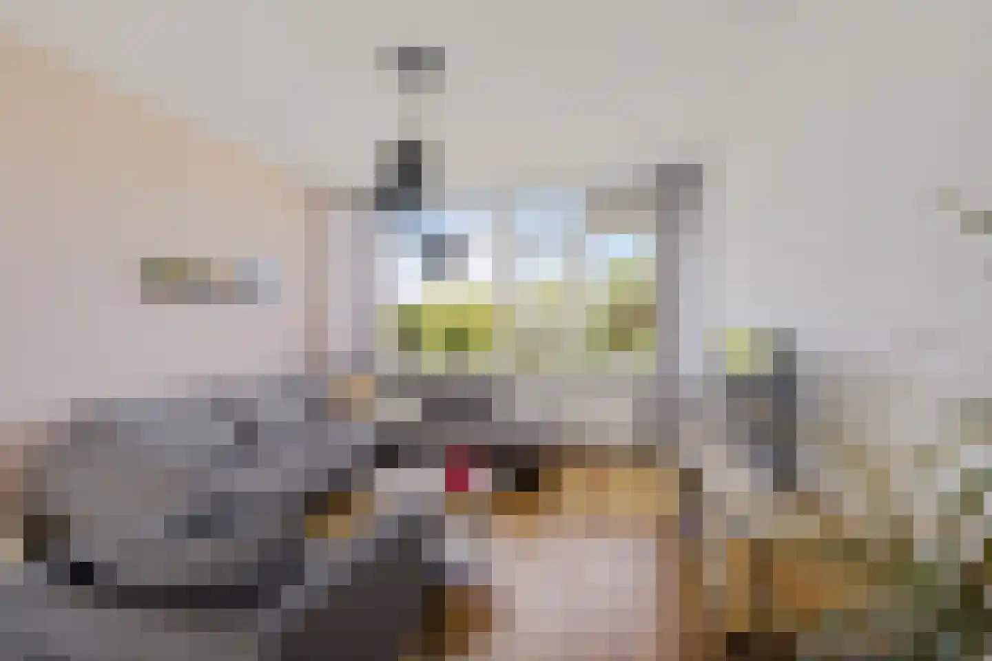 Sint Jansberg 364 Drachten thumbnail 5