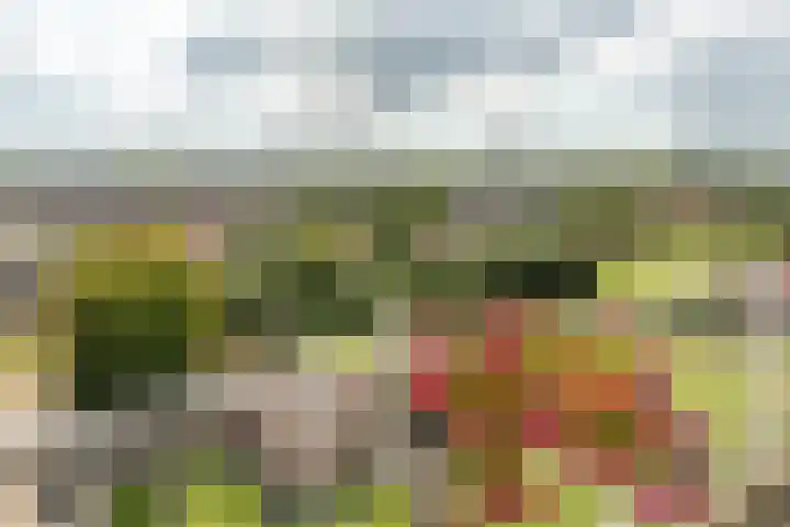 Sint Jansberg 376 Drachten thumbnail 23