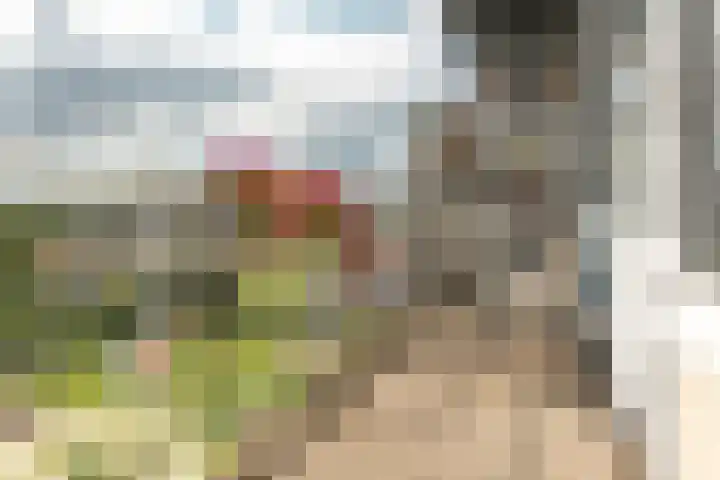 Sint Jansberg 376 Drachten thumbnail 24