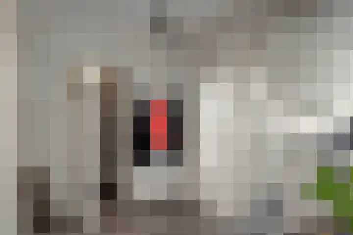 Sint Jansberg 376 Drachten thumbnail 27
