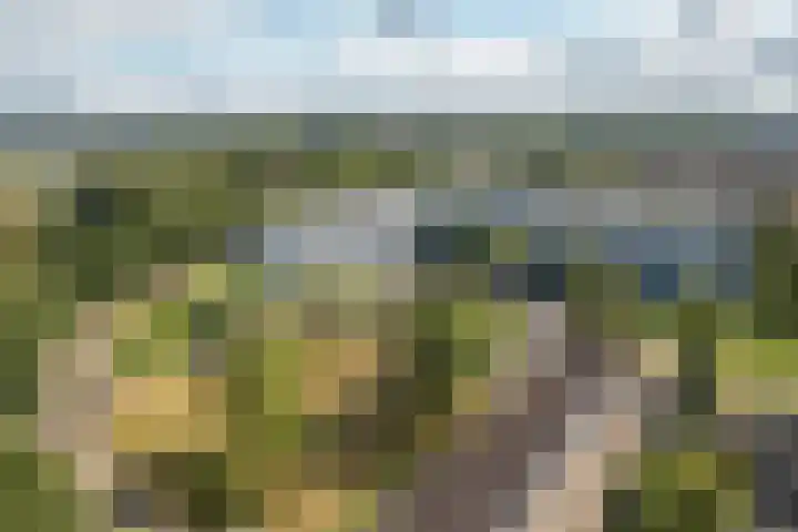 Sint Jansberg 376 Drachten thumbnail 4