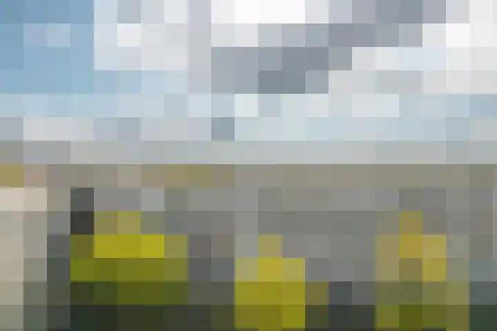 Sint Jansberg 376 Drachten thumbnail 5