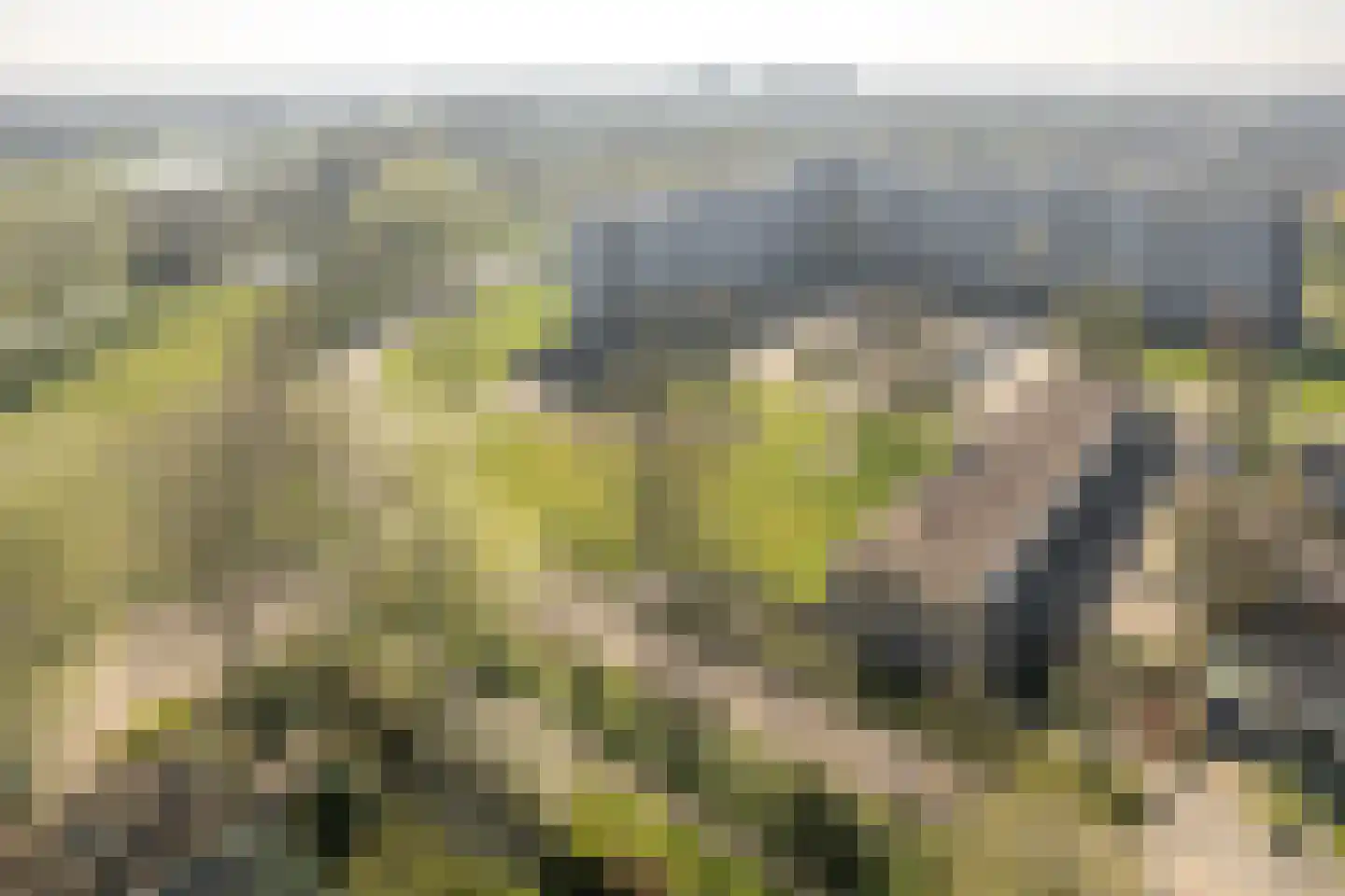 Sint Jansberg 392 Drachten thumbnail 27