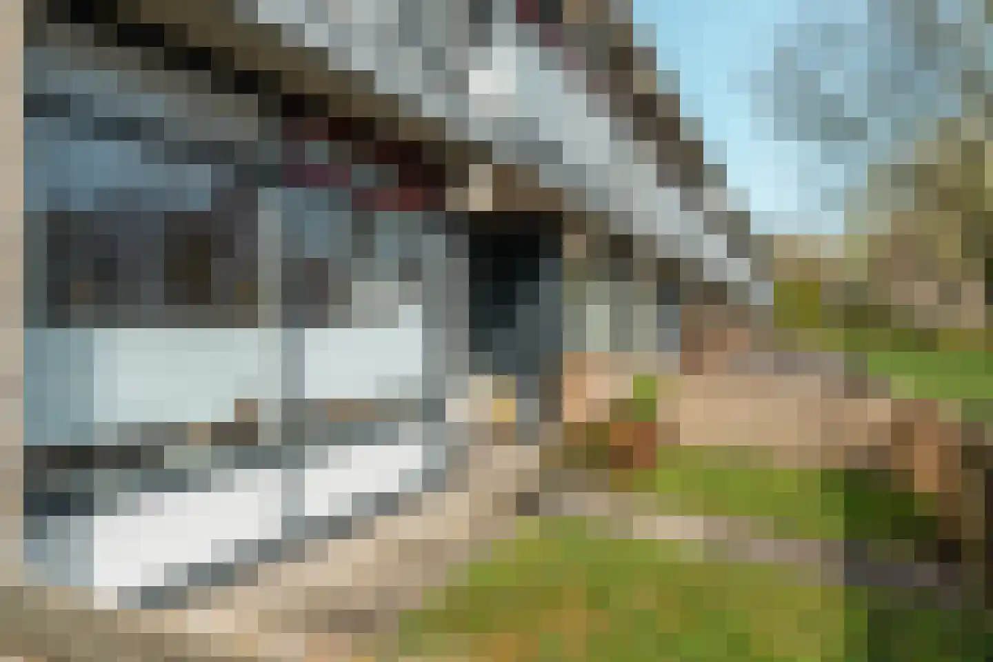 Sint Jansberg 392 Drachten thumbnail 29