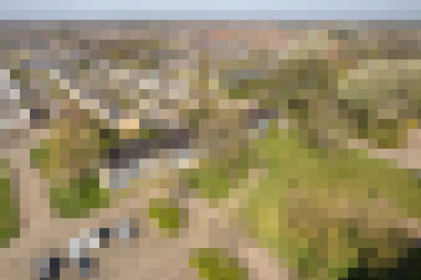 Sint Jansberg 392 Drachten thumbnail 7