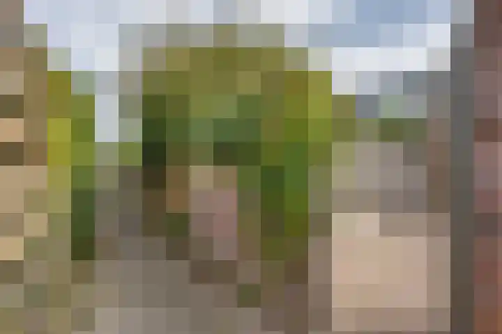 Sint Jansberg 42 Drachten thumbnail 30