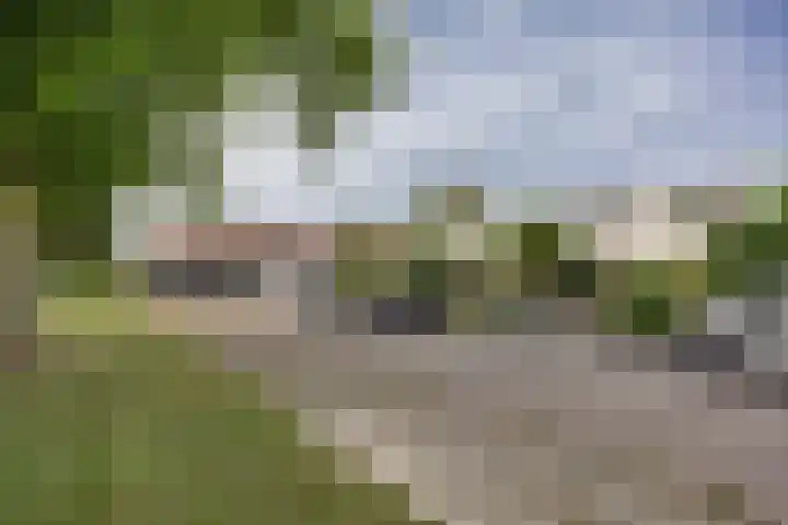 Sint Jansberg 42 Drachten thumbnail 33
