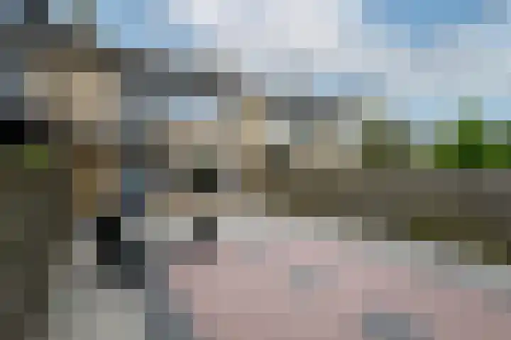 Sint Jansberg 61 Drachten thumbnail 35