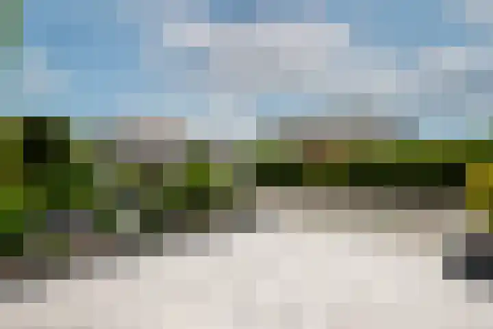 Sint Jansberg 61 Drachten thumbnail 41