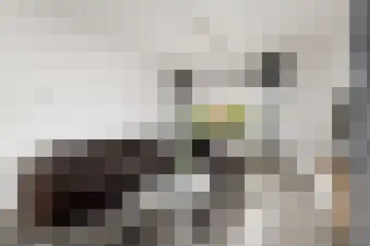 Sint Jansberg 61 Drachten thumbnail 7