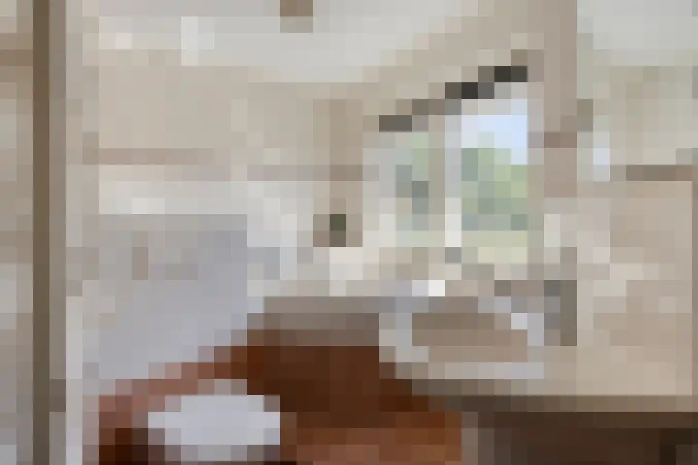Sint Jansbloem 33 Gemert thumbnail 11