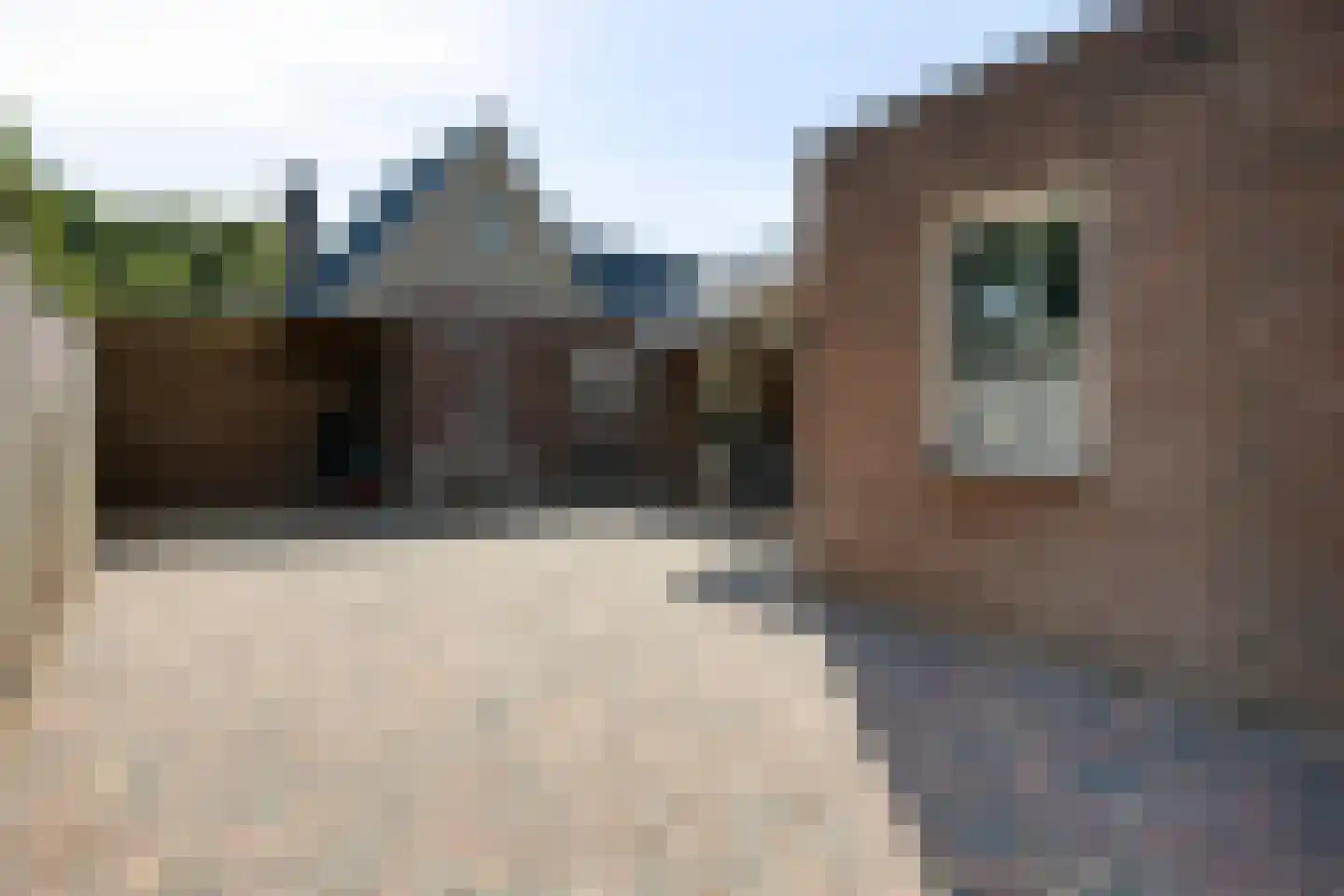 Sint Jansbloem 33 Gemert thumbnail 19