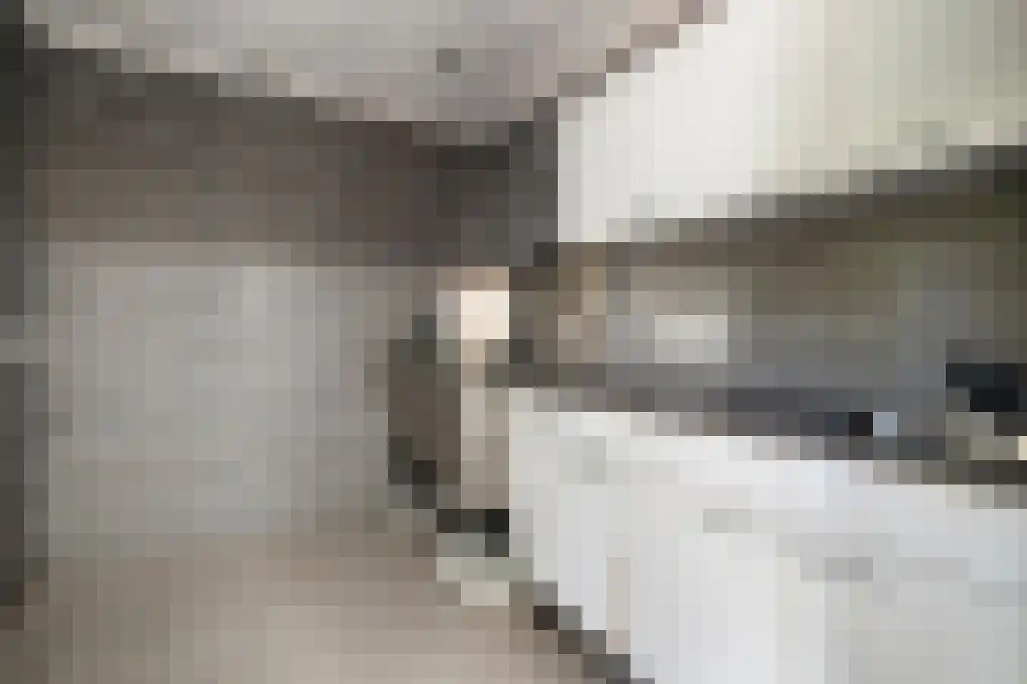 Sint Jansbloem 33 Gemert thumbnail 20