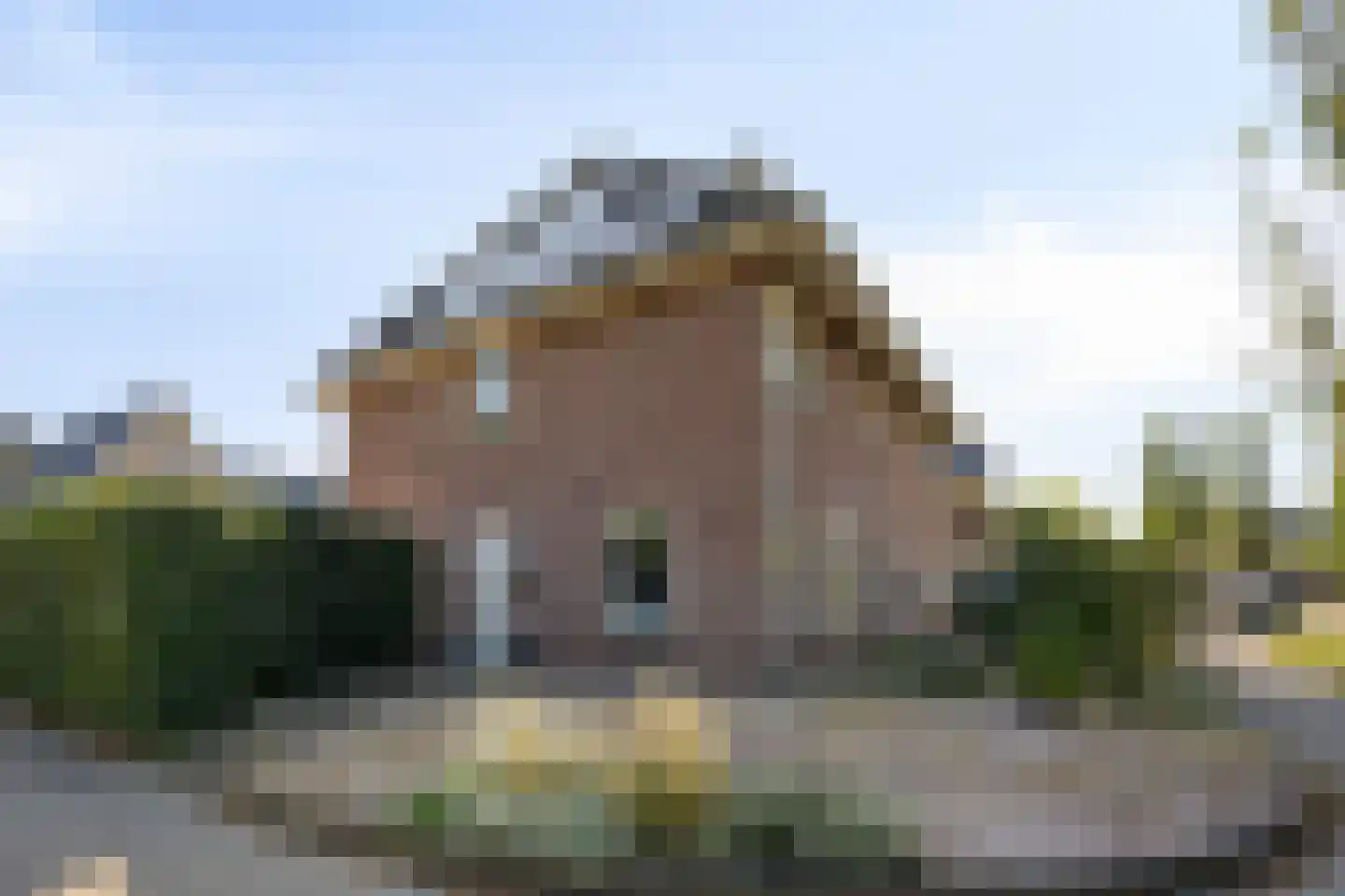 Sint Jansbloem 33 Gemert thumbnail 23
