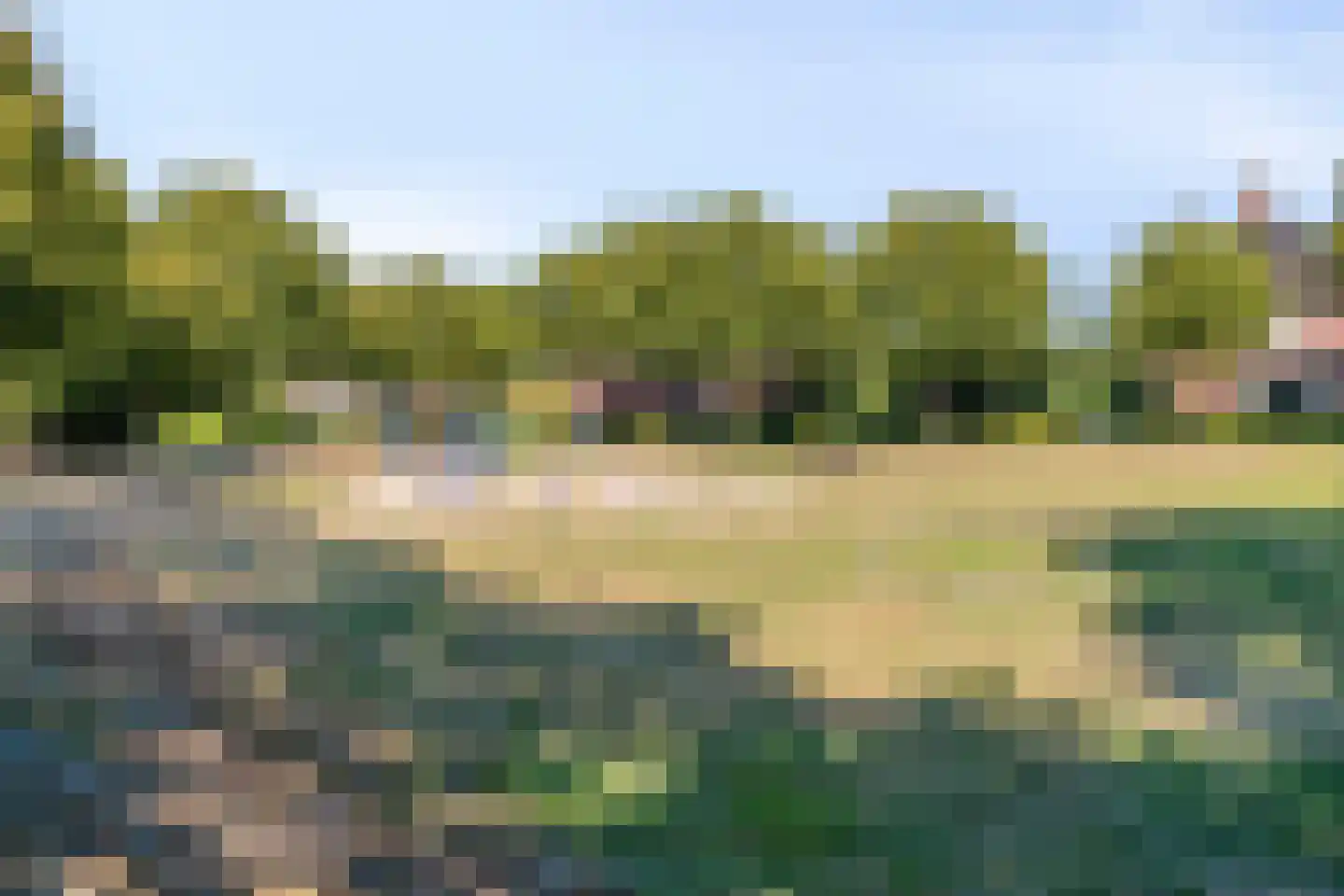 Sint Jansbloem 33 Gemert thumbnail 24