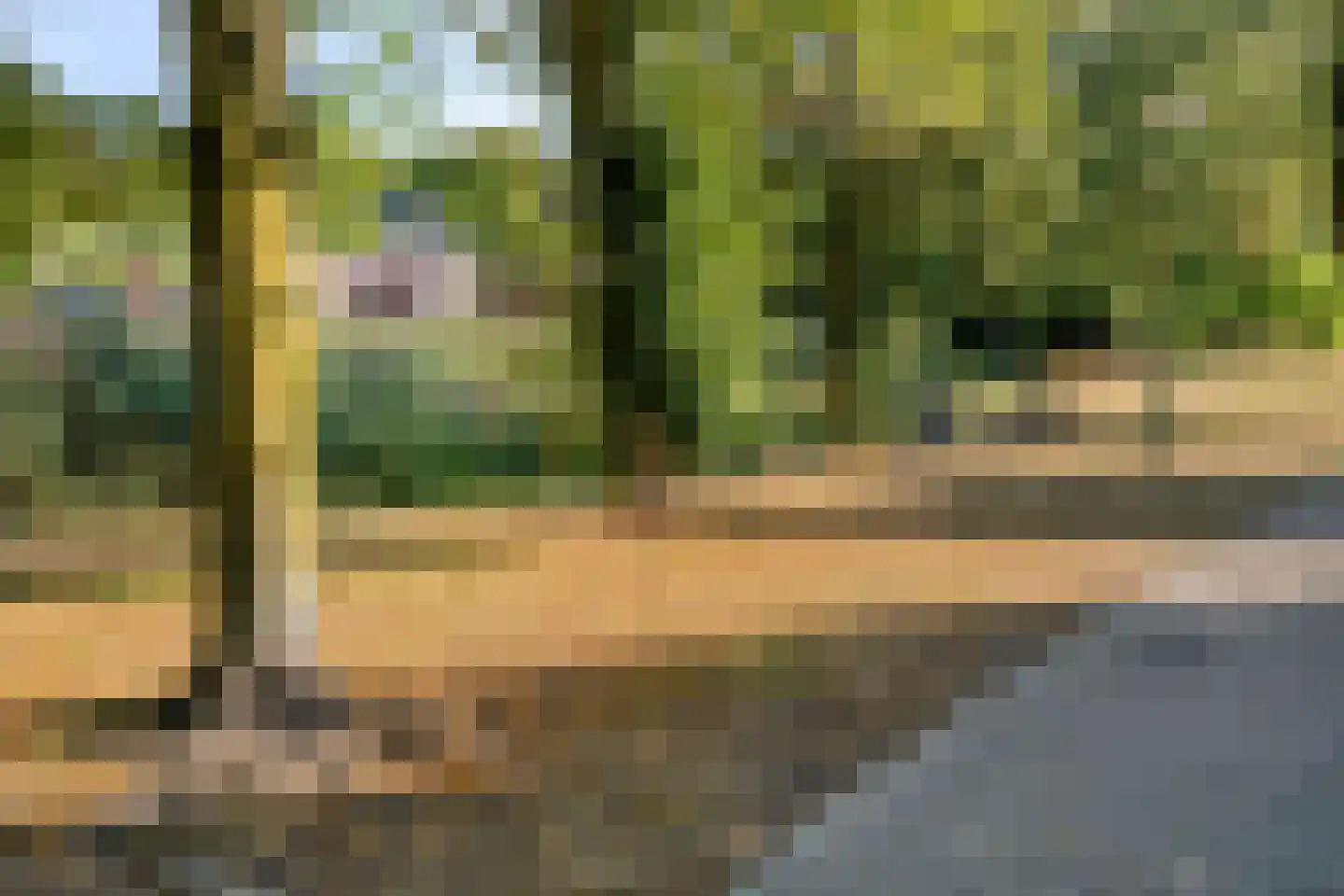 Sint Jansbloem 33 Gemert thumbnail 25