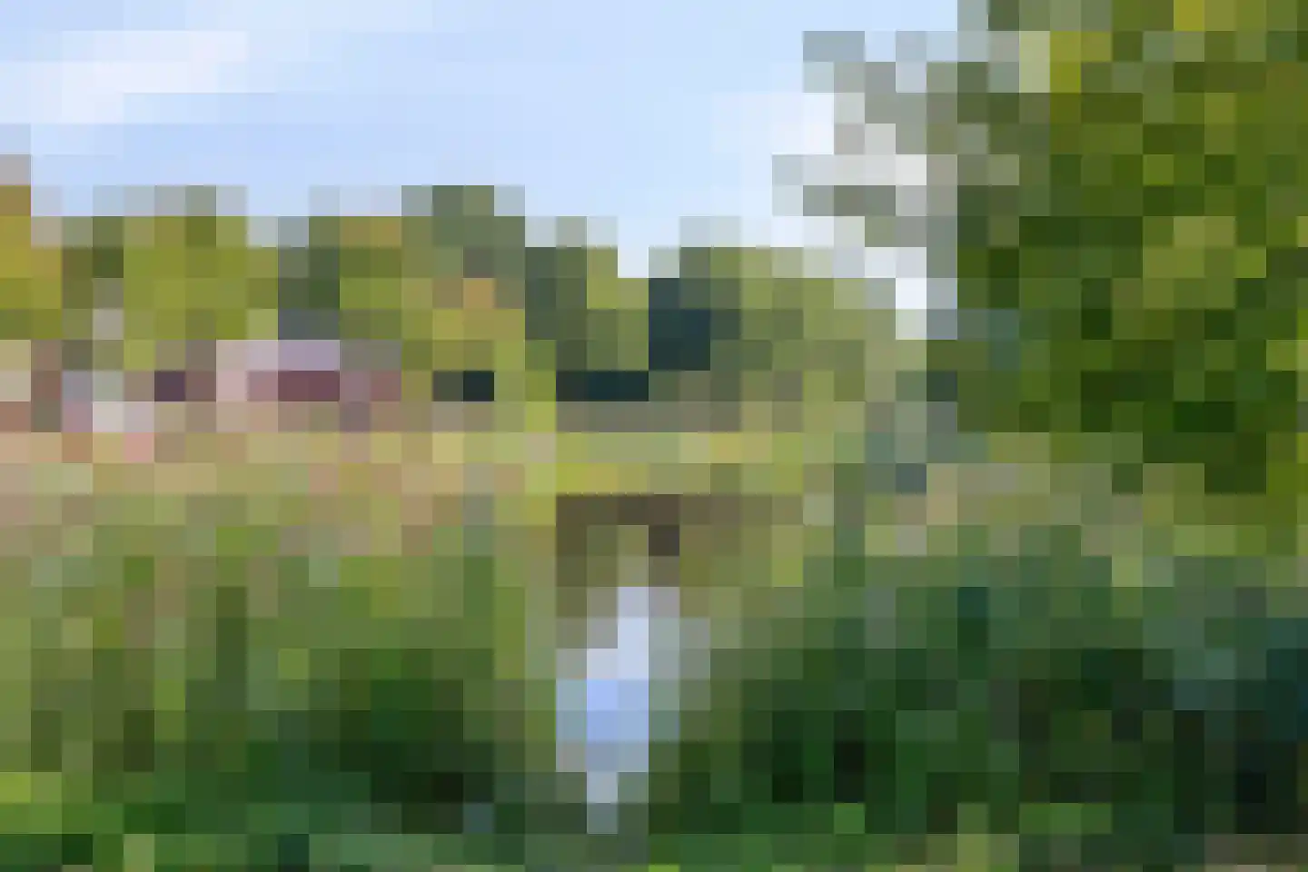 Sint Jansbloem 33 Gemert thumbnail 26