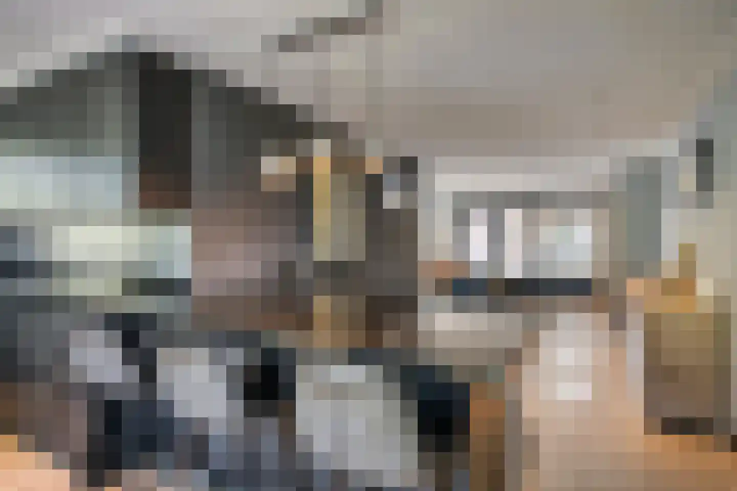 Sint Jansbloem 33 Gemert thumbnail 8