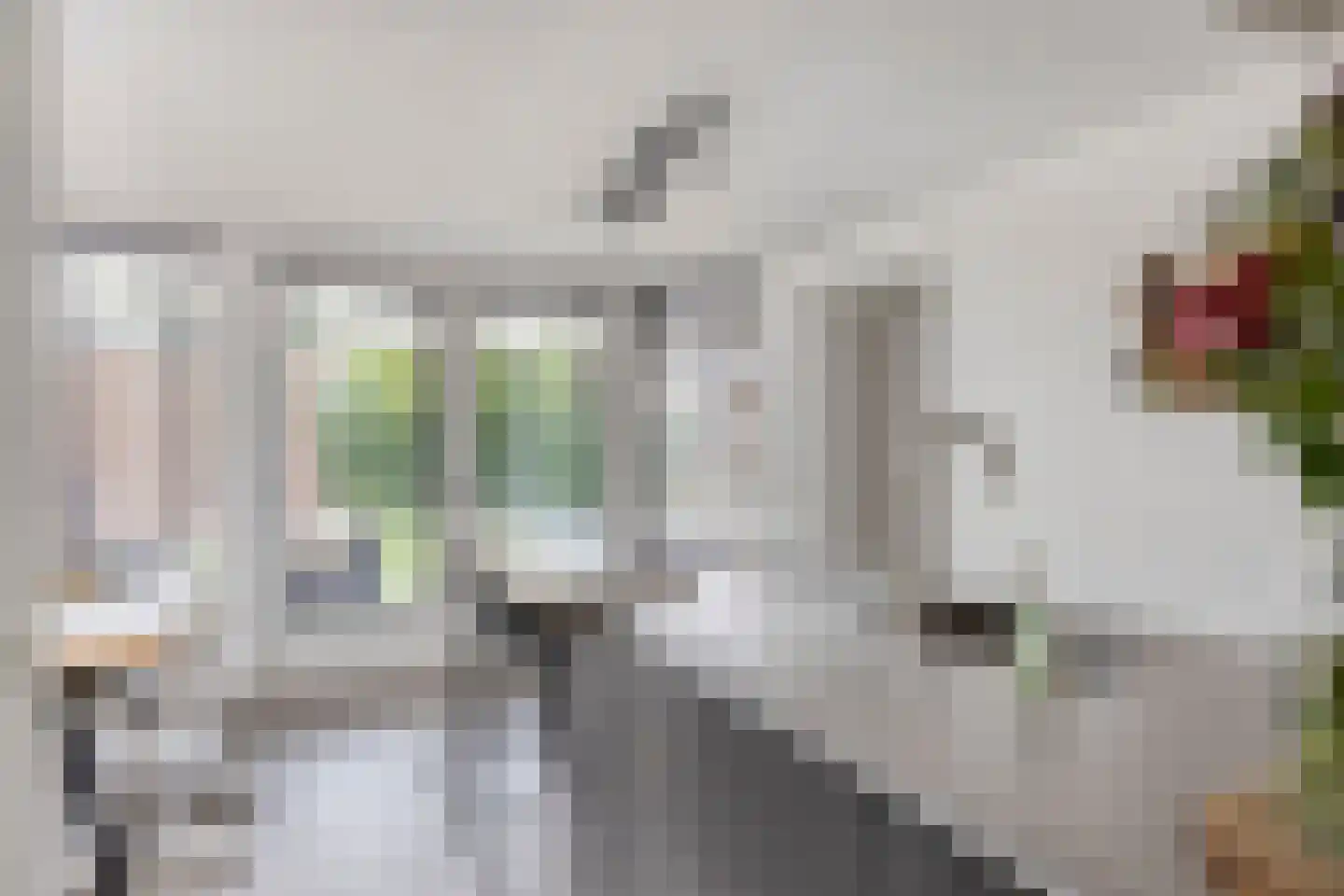 Sint Jansbloem 39 Gemert thumbnail 17