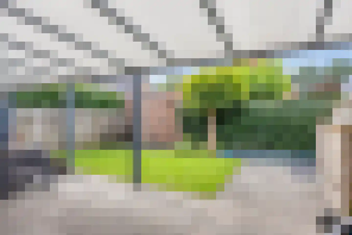 Sint Jansbloem 39 Gemert thumbnail 22