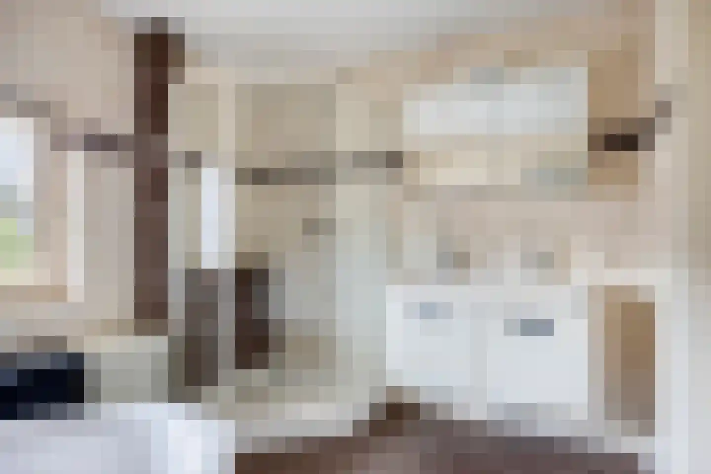 Sint Jansbloem 39 Gemert thumbnail 27