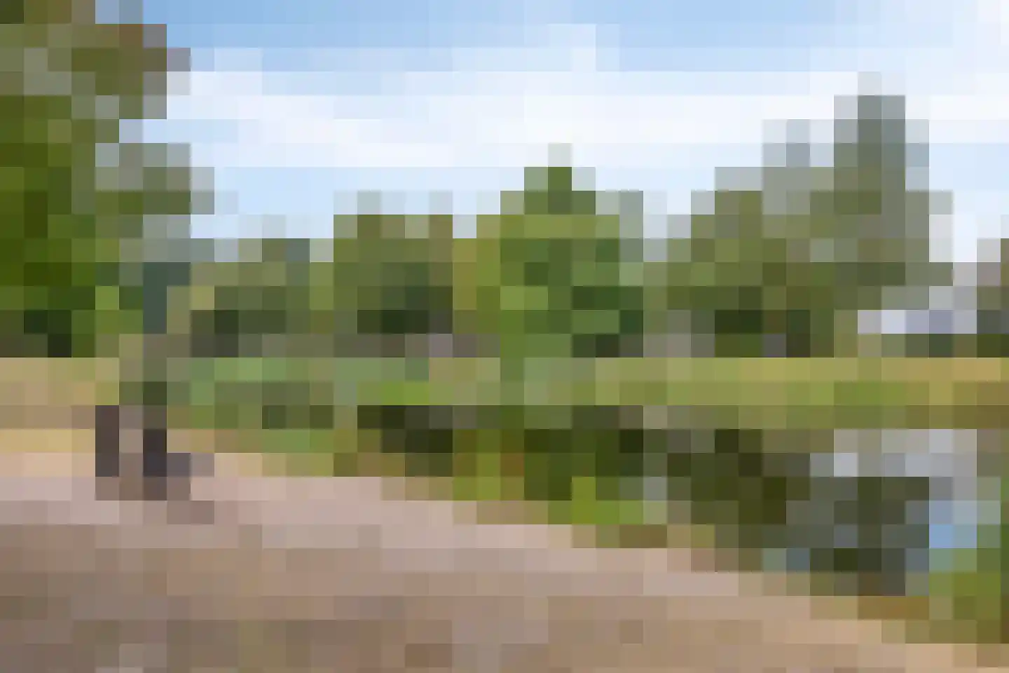 Sint Jansbloem 39 Gemert thumbnail 36