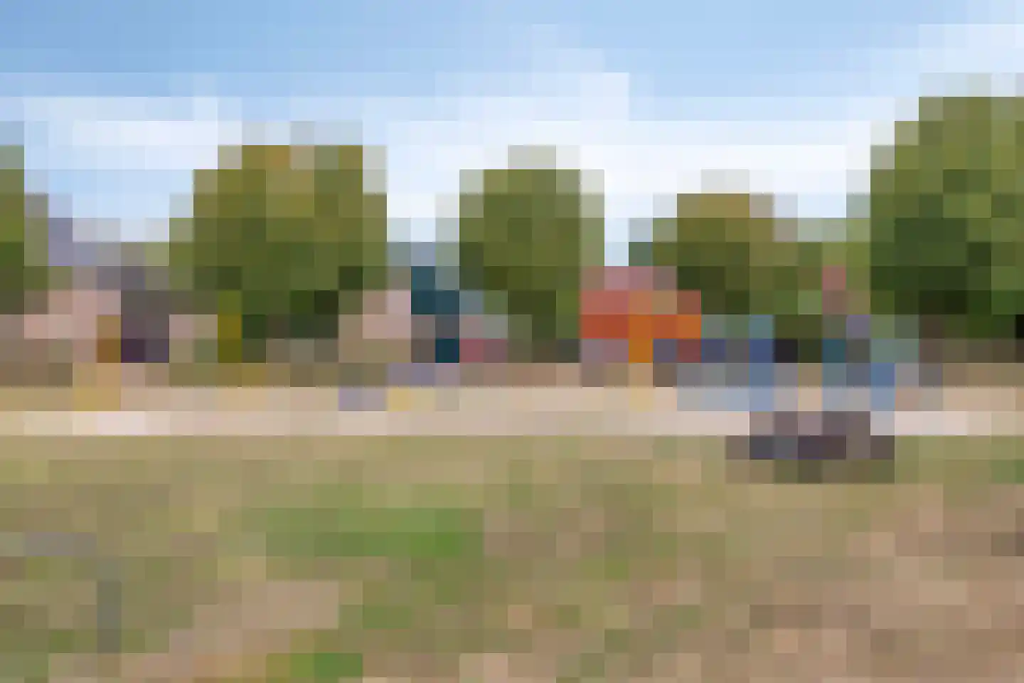 Sint Jansbloem 39 Gemert thumbnail 37