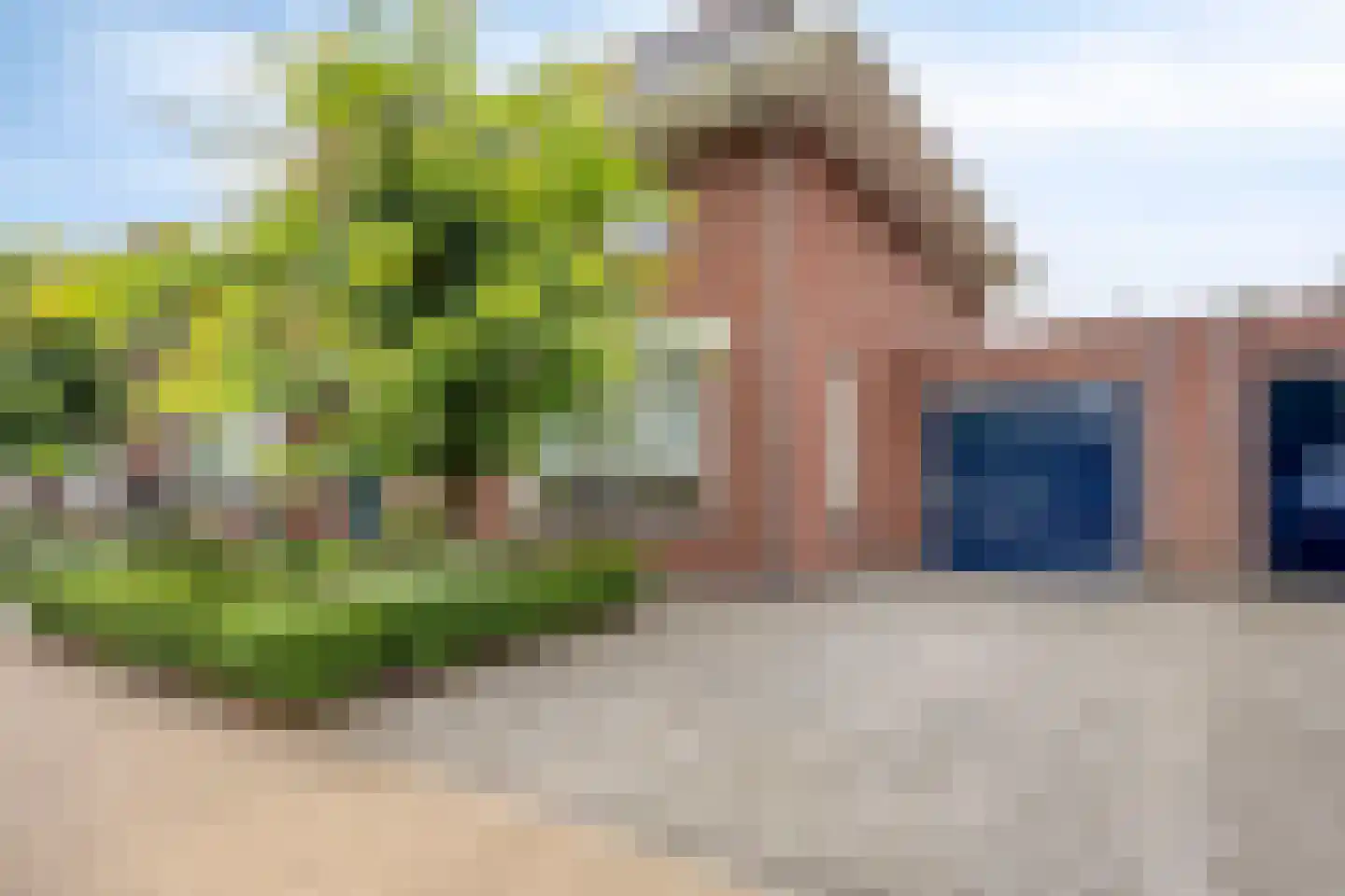 Sint Jansbloem 39 Gemert thumbnail 6
