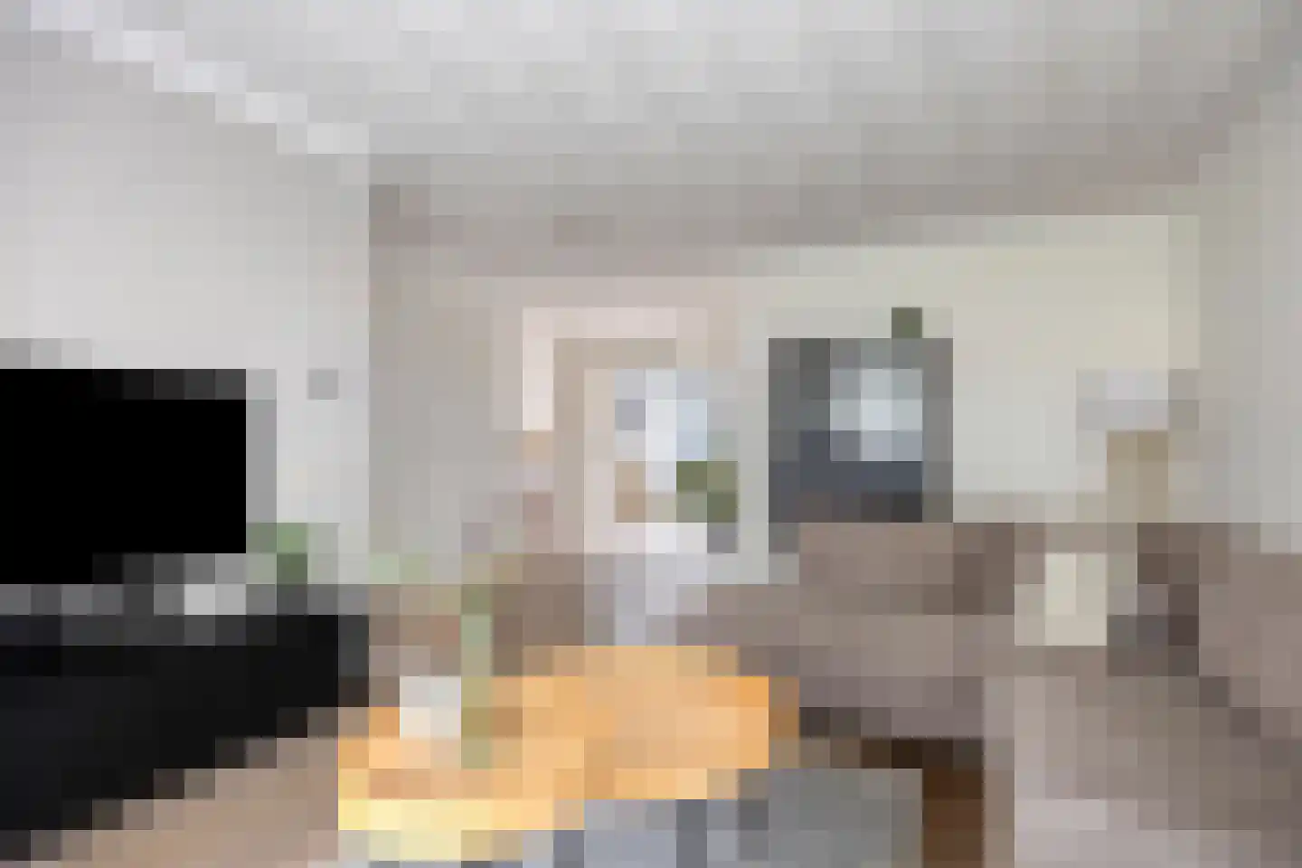 Sint Jansbloem 39 Gemert thumbnail 9