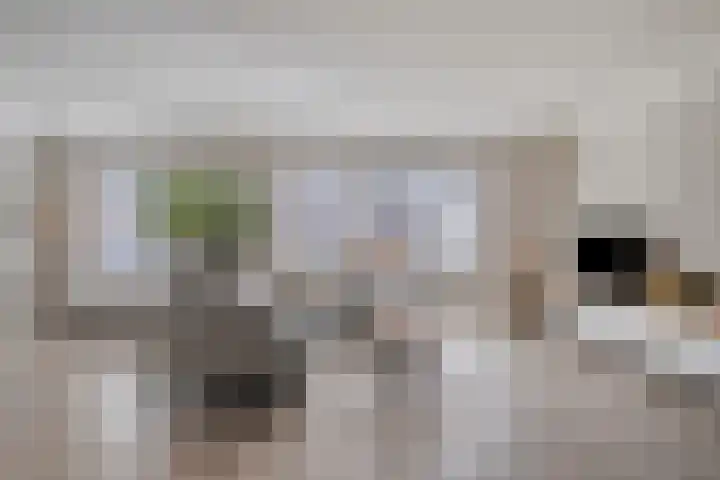 Sint Jansbloem 51 Gemert thumbnail 11