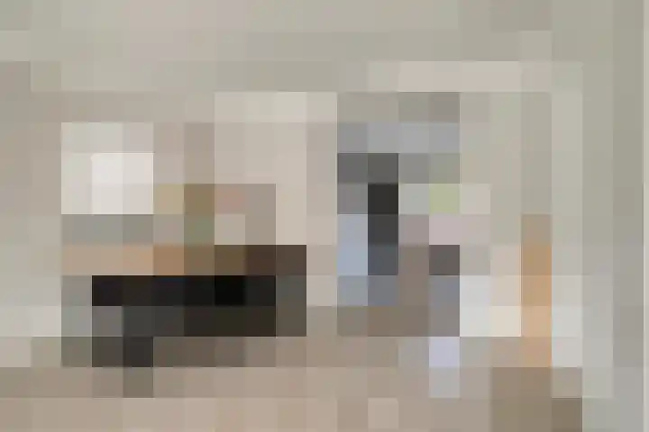Sint Jansbloem 51 Gemert thumbnail 14
