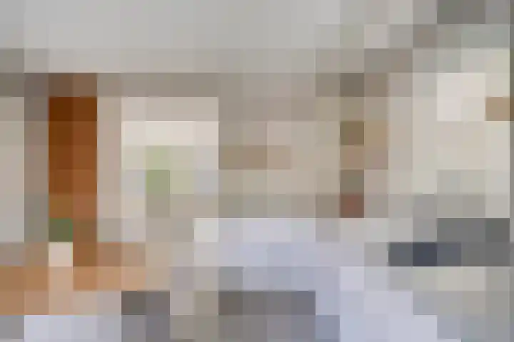 Sint Jansbloem 51 Gemert thumbnail 17