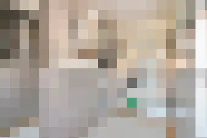Sint Jansbloem 51 Gemert thumbnail 23