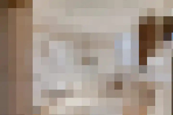 Sint Jansbloem 51 Gemert thumbnail 27