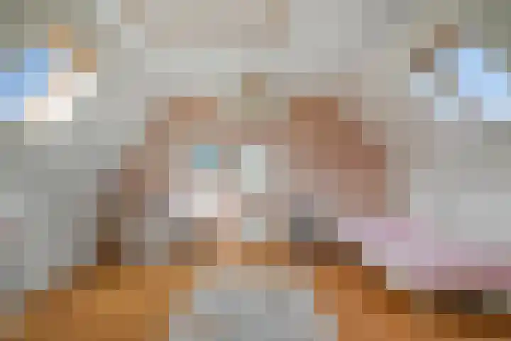 Sint Jansbloem 51 Gemert thumbnail 32