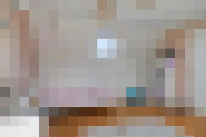 Sint Jansbloem 51 Gemert thumbnail 33