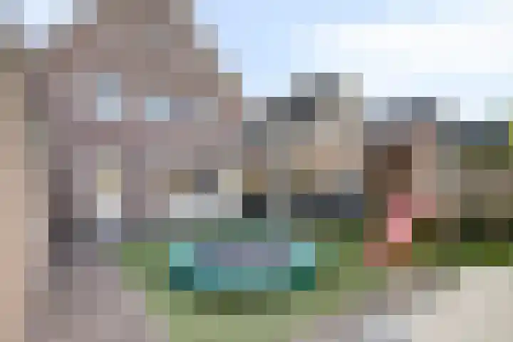 Sint Jansbloem 51 Gemert thumbnail 35