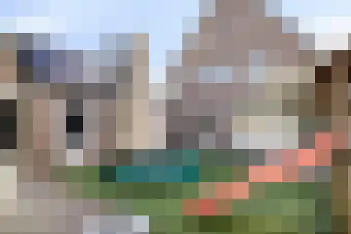 Sint Jansbloem 51 Gemert thumbnail 36