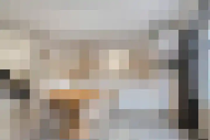 Sint Jansbloem 51 Gemert thumbnail 4