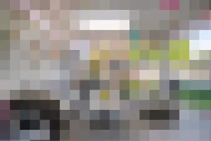 Sint Jansbloem 51 Gemert thumbnail 40