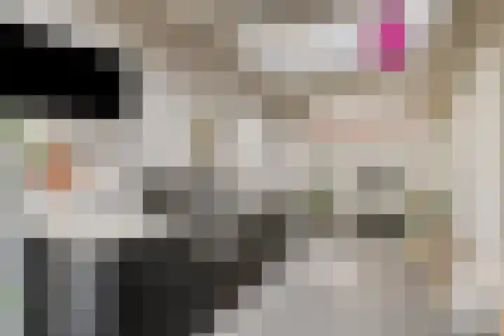 Sint Jansbloem 51 Gemert thumbnail 41