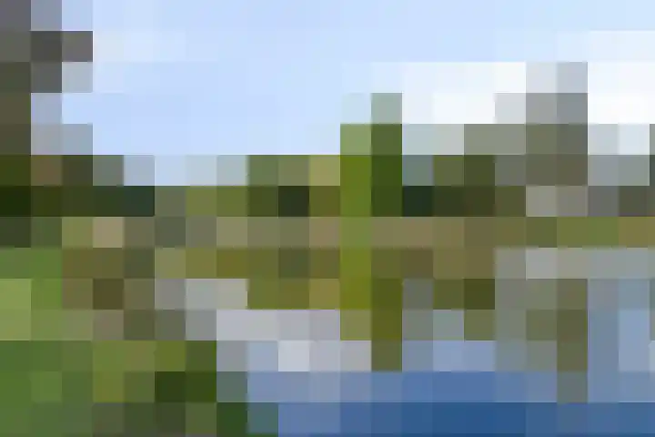 Sint Jansbloem 51 Gemert thumbnail 44